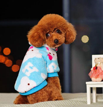 Dog Pajamas Sewing Patterns Clothing and Accessories - Shopping.com