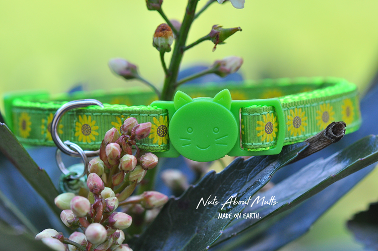 Sunflowers Lime cat collar 3 sizes